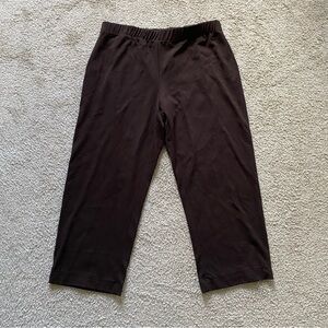 NWT ~ Chico's ~ Chocolate Brown Ponte Dancer Pull On Pant ~ Size 3 (16) Short